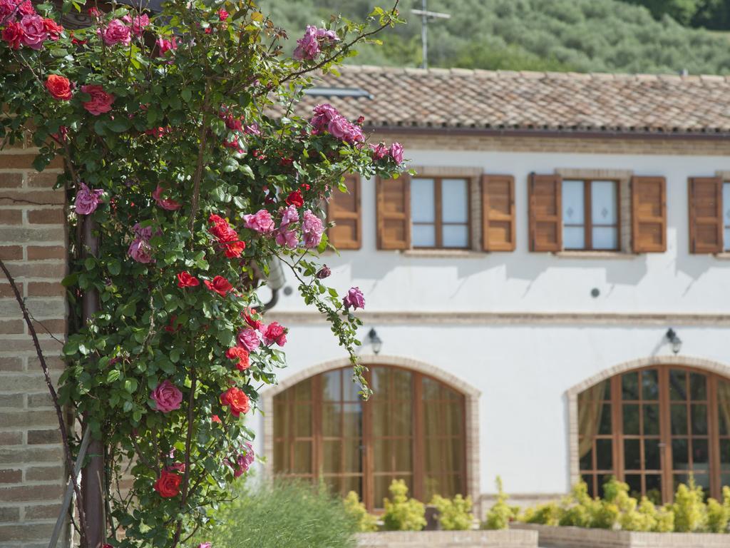 Terra Del Sole Villa Recanati Exterior photo